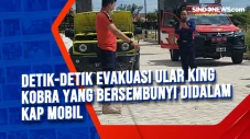 Detik-Detik Evakuasi...