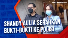 Shandy Aulia Serahkan...