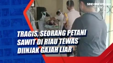 Tragis, Seorang Petani...