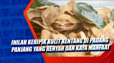 Inilah Keripik Kulit...