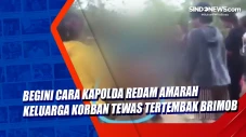 Viral! Rebutan Pacar...