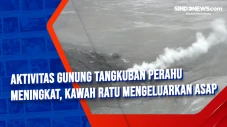 Aktivitas Gunung Tangkuban...