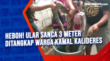 Heboh! Ular Sanca 3...