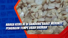 Harga Kedelai di Bandung...