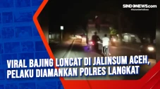 Viral Bajing Loncat...