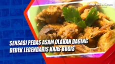 Sensasi Pedas Asam Olahan...