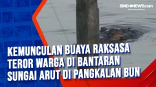 Kemunculan Buaya Raksasa...
