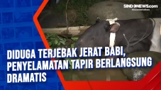 Diduga Terjebak Jerat...