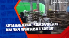 Harga Kedelai Mahal,...
