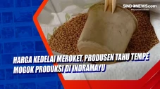 Harga Kedelai Meroket,...