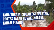 Tana Toraja, Sulawesi...