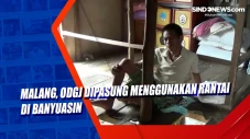 Malang, ODGJ Dipasung...