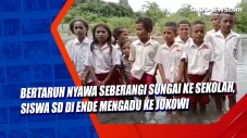 Bertaruh Nyawa Seberangi...