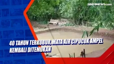40 Tahun Terkubur, Mata...