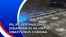 Pil Pfizer Paxlovid...