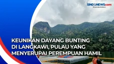 Keunikan Dayang Bunting...