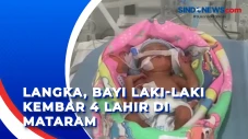 Langka, Bayi Laki-laki...