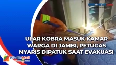 Ular Kobra Masuk Kamar...