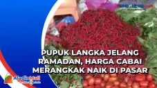 Pupuk Langka Jelang...