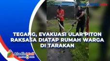 Tegang, Evakuasi Ular...