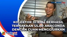Kolektor di Bali Berhasil...
