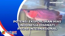 Potensi Ekspor, Ikan...