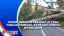 Pohon Beringin Keramat...