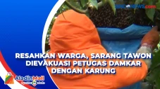 Resahkan Warga, Sarang...