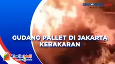 Gudang Pallet di Jakarta...