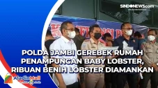 Polda Jambi Gerebek...