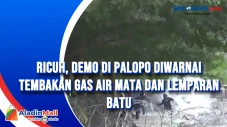 Ricuh, Demo di Palopo...