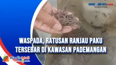 Waspada, Ratusan Ranjau...