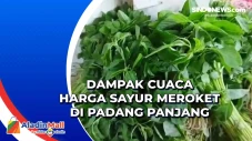 Dampak Cuaca Harga Sayur...
