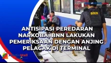 Antisipasi Peredaran...