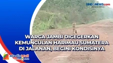 Warga Jambi Digegerkan...