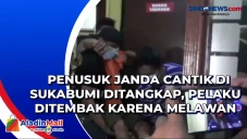 Penusuk Janda Cantik...