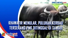 Khawatir Menular, Puluhan...