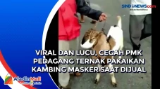 Viral dan Lucu, Cegah...