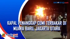 Kapal Penangkap Cumi...