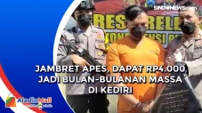 Jambret Apes, Dapat...