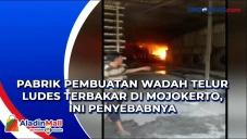 Pabrik Pembuatan Wadah...
