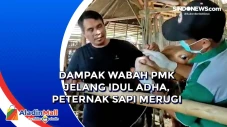 Dampak Wabah PMK Jelang...