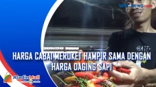 Harga Cabai Meroket...