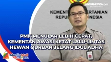 PMK Menular Lebih Cepat,...