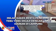 Inilah Kakek Renta Penebang...