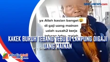 Kakek Buruh Tebang Tebu...