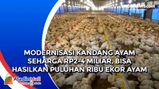 Modernisasi Kandang...