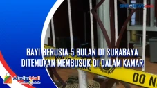 Bayi Berusia 5 Bulan...