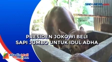 Presiden Jokowi Beli...