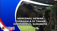 Mengenal Hewan Purbakala...